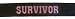 Personal Challenge Rank Belt