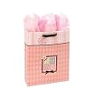 Large Gift Bag with Tissue Paper - abc and me