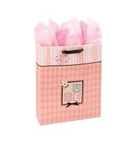 Large Gift Bag with Tissue Paper - abc and me