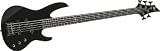 ESP LTD B55 5 String Electric Bass Guitar ( Black ) - B000KN2FUK