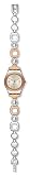 Swatch Ladies Watches YSS234G - WW