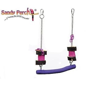 Sandy Perch Deluxe Chain Swing from Swings & Rockers Gliders