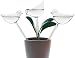 Glass Plant Watering Globes, Self Watering Globes Bird Shape, Self Watering Planter Insert, Plant Watering Devices, Automatic Plant Waterer Indoor, Watering Bulbs, 3 Pack