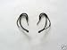 OEM Jawbone Earhook Earloop Ear Hook Loop (standard, 2 pieces)