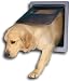 Dog Mate Large Door - White