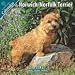 terrier49 - Norwich Norfolk Terrier 2010 Wall Calendar 12 X