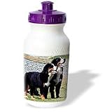 Dogs Bernese Mountain Dog - Bernese Mountain Dog - Water Bottles