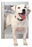 Innotek AF50-201-11 Classic Pet Door - X-Large Satin