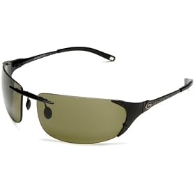 Gargoyles Diffuser, Black Frame, Polarized Smoke Lens