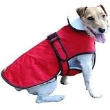 Belted Dog Coat in Red