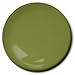 Testors Enamel Bottle Flat Green Paint
