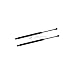 Front HOOD Shocks Gas Charged Lift Supports Dampers - for 2004-2008 Nissan Maxima (Pack of 2 / Pair / 2pc)