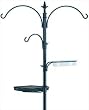 Gardman USA 0280019 Wild Bird Feeding Kit