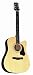 The Silvertone Full-size Dreadnought - SD20CE