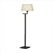 Robert Abbey Wonton Collection Bronze Swing Arm Floor Lamp
