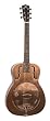Recording King Style-O Resonator Series,  Metal Body Guitar, Champagne Matte