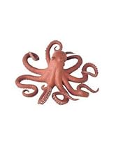 Large Pacific Octopus
