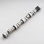 Edelbrock 2201 Performer RPM Hydraulic Roller Camshaft