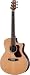 New Walden G730ce Acoustic Electric Guitar W/gig Bag