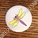 Bugs Insects Half-Banded Toper Drawer Pulls Knobs