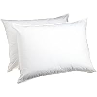 Hanes Twin Jumbo Pillow, White