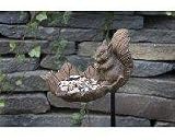 Outdoor Living : Squirrel Stake Feeder