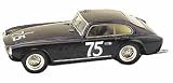 Replicarz TM242 Top Model 1-43 1953 Ferrari 340 America No.75