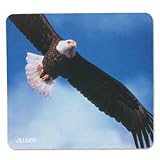 Bald Eagle Mouse Pad
