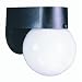 Westinghouse Light B 66803 Outdoor Fixture
