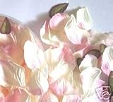 Champagne Pink Silk Rose Petals - Christmas, Wedding Flowers, Confetti Kitchen & Housewares