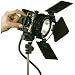Lowel Pro-light, Focusing Multi-voltage Quartz Halogen Light for 12, 30 or 120v, with GCA 250 watt 120 volt Lamp.