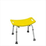 Deluxe Backless Bath Bench Color: White