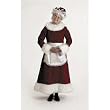 Mrs. Claus Costume