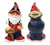 MLB Minnesota Twins Team Gnome Bank
