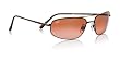 Serengeti Velocity Drivers Gradient Sunglasses