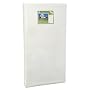 Sealy Soybean Foam-Core Crib Mattress