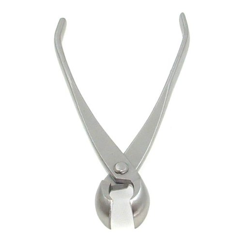 Round Edged Branch Cutters - 21cm Stainless Steel