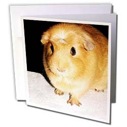 Guinea Pig - Guinea Pig - Greeting Cards-6 Greeting Cards with envelopes
