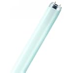 OSRAM Leuchtstoffr�hre Lumilux 18W L....