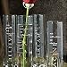 Decorative Bud Vase with Verse
