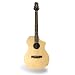 Line 6 Variax 300 Acoustic Guitar, Steel