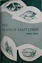 Origin of Adaptations