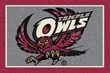 Temple Owls Flying Owl 2' 8 x 3' 10 Team Spirit Area Rug