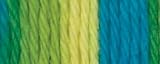 Lily Sugar'n Cream Yarn: Ombres, Summer Splash