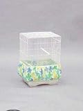 Parrot Birdie Bloomer - Print
