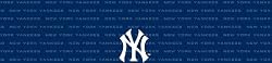 New York Yankees Team Auto Visor Decal