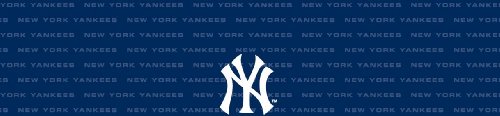 New York Yankees Team Auto Visor Decal