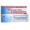 Heel Traumeel Ointment (50 g)
