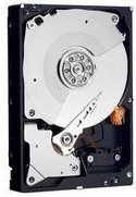 WesternDigitalCaviarBlack1TBSATAII,32MBCache,7200RPM,3.5-InchInternalHardDriveWD10000LSRTL-Retail
