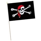 12 x 18 Jolly Pirate Flag